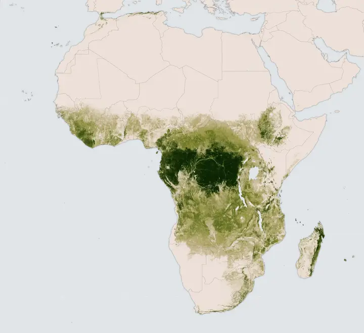Satellite-derived map of tree height across Africa