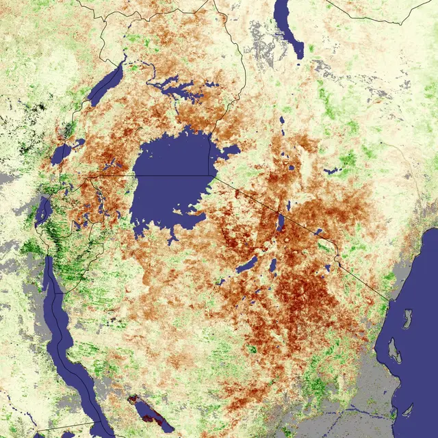 Illustrative archive vegetation-anomaly data for East Africa from 2005